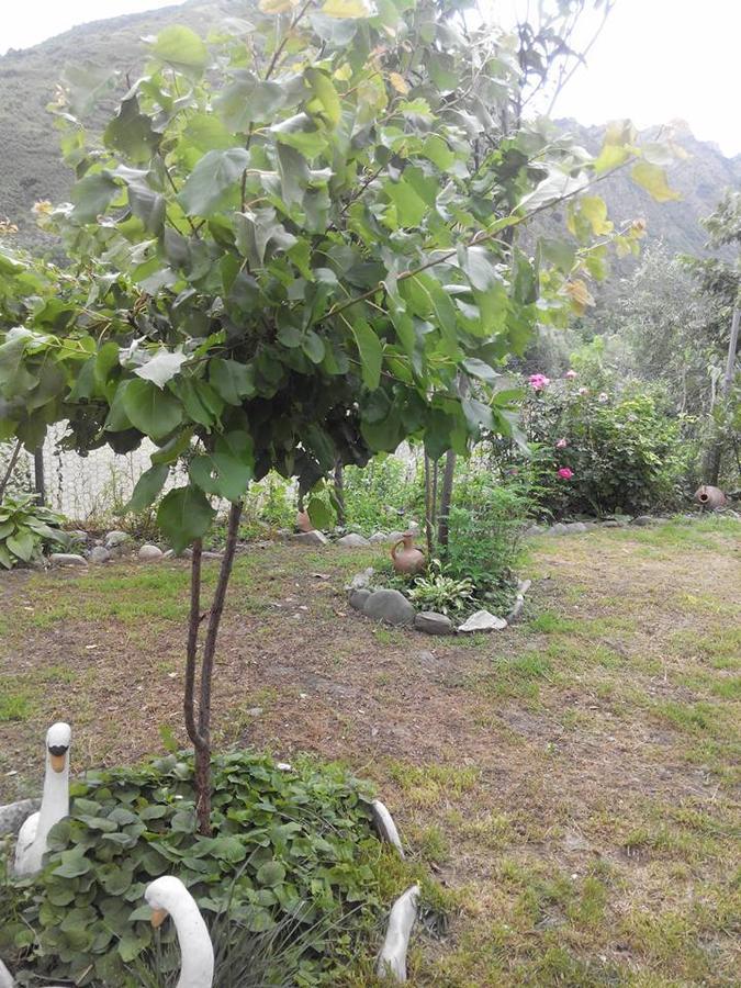 Villa Piano Mtsʼkhetʼa Εξωτερικό φωτογραφία