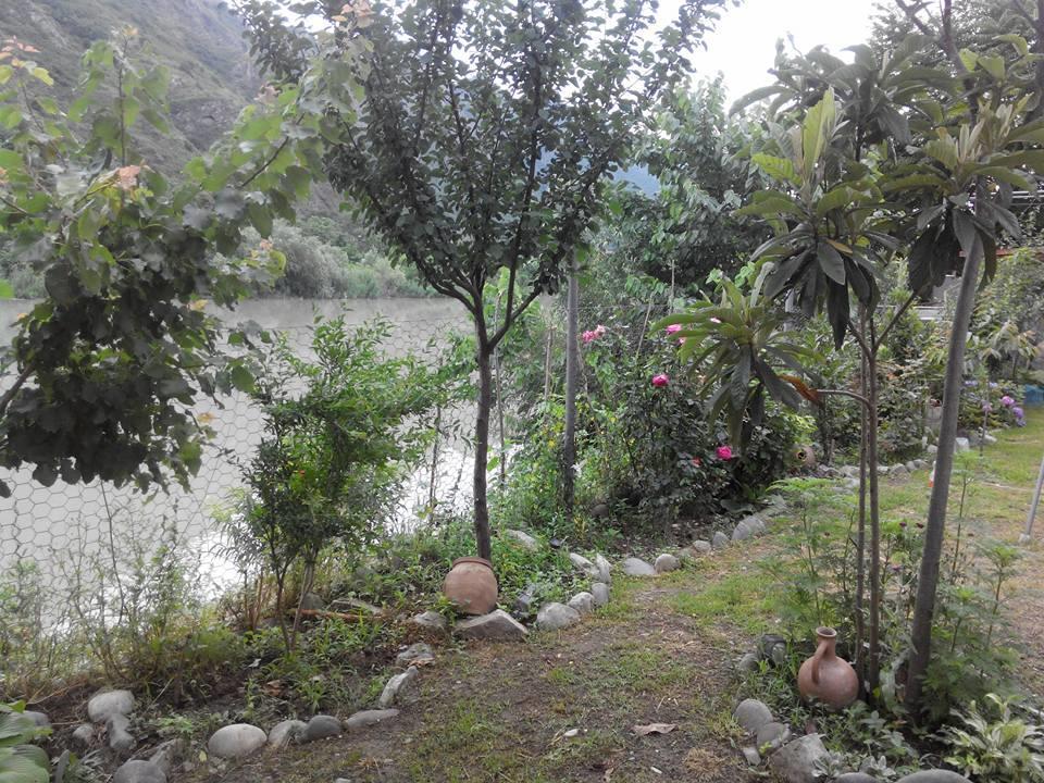 Villa Piano Mtsʼkhetʼa Εξωτερικό φωτογραφία